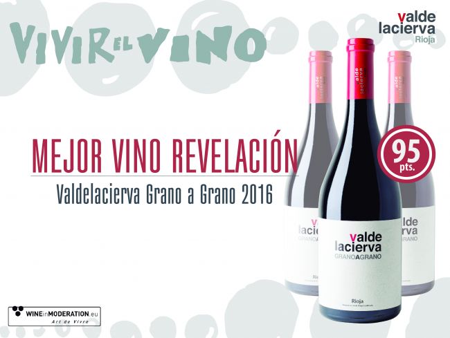 vivir el vino__imagen noticia.jpg